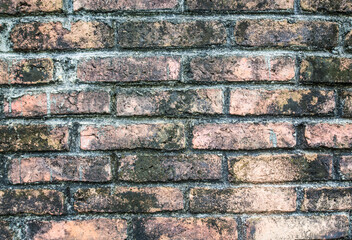 Background of old vintage brick wall texture.