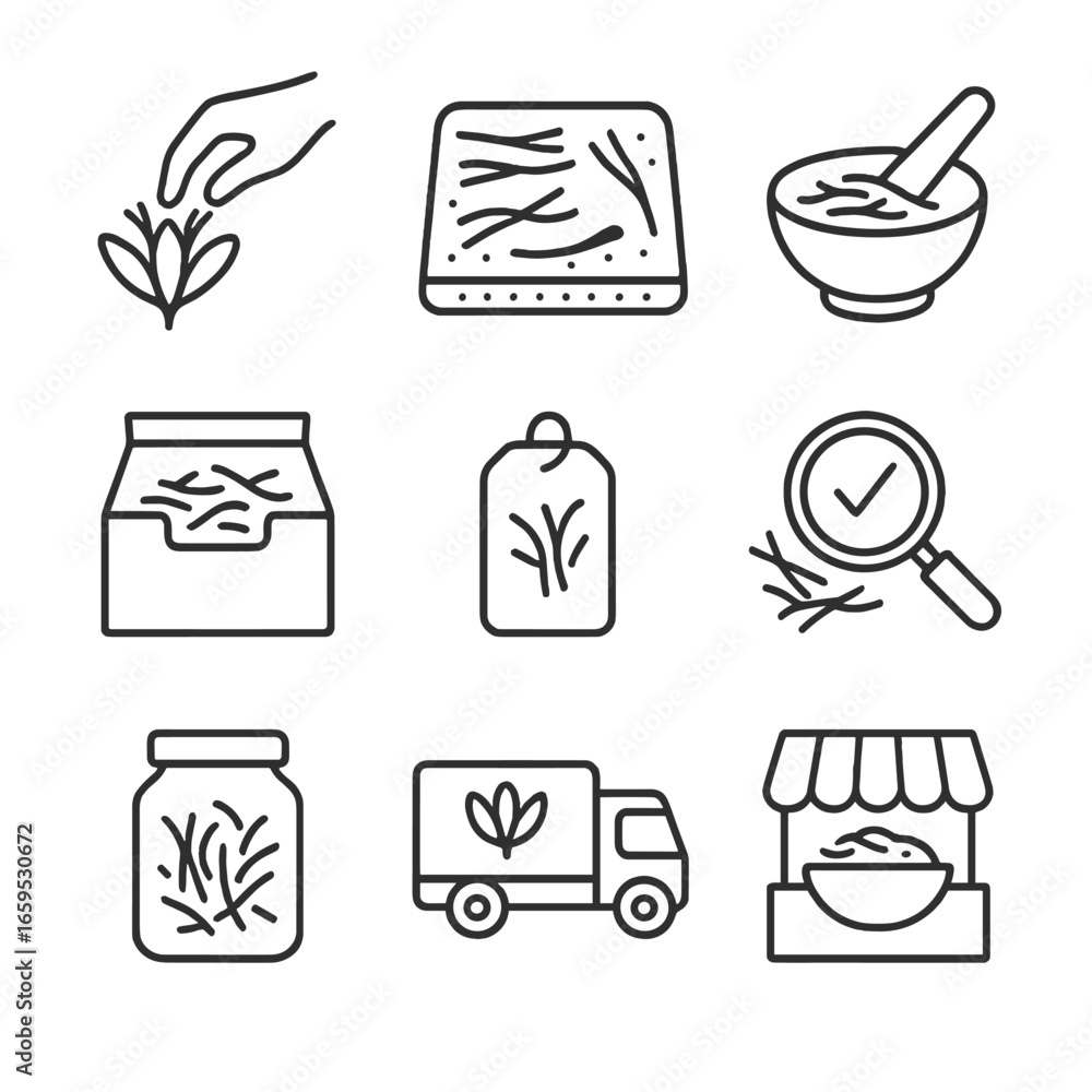 Poster saffron processing icons. outline icon set of saffron processing: picking stigmas, drying threads, g