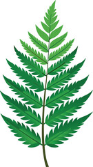 Fern leaf