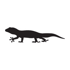 Noble Gecko Silhouette Highlighting Characteristic Long Toes – Gecko Vector Illustration – Silhouette of Gecko