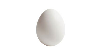 Isolated White Egg