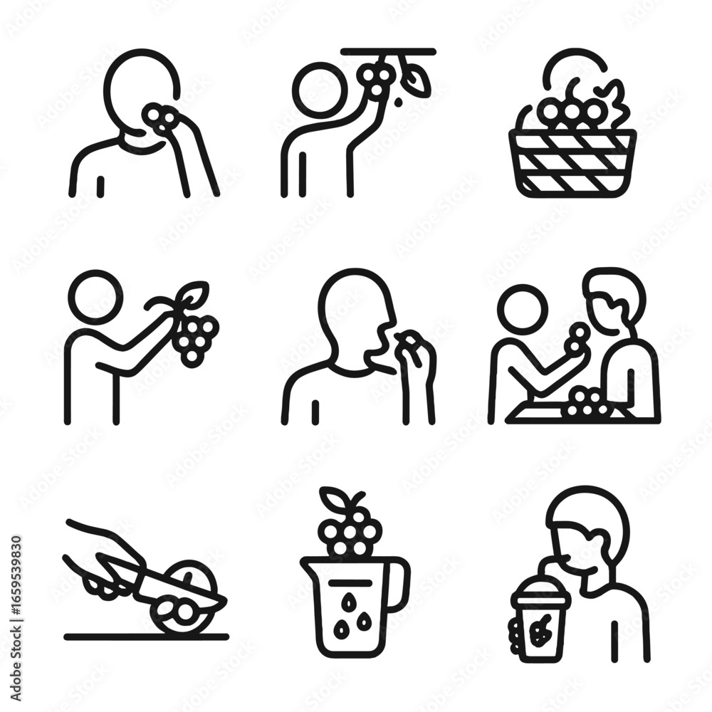 Poster grape icons collection. outline icon set of grape eating and enjoyment: eating grapes, grape picking