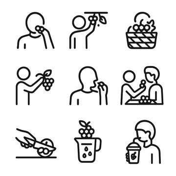 Grape Icons Collection. Outline icon set of grape eating and enjoyment: eating grapes, grape picking, grape basket, grape smoothie