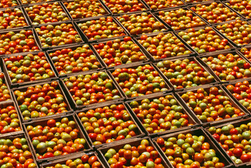 fresh fruits on the market