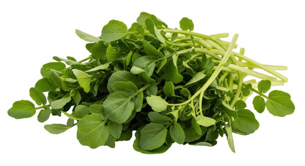 Isolated Bunch of Watercress