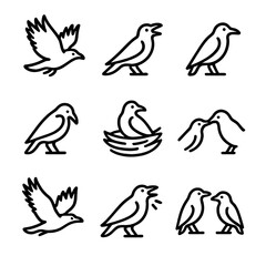 Obraz premium Raven Behavior Icons. Outline icon set of raven behaviors: flying, cawing, perching, preening, nesting, feeding, soaring, calling,