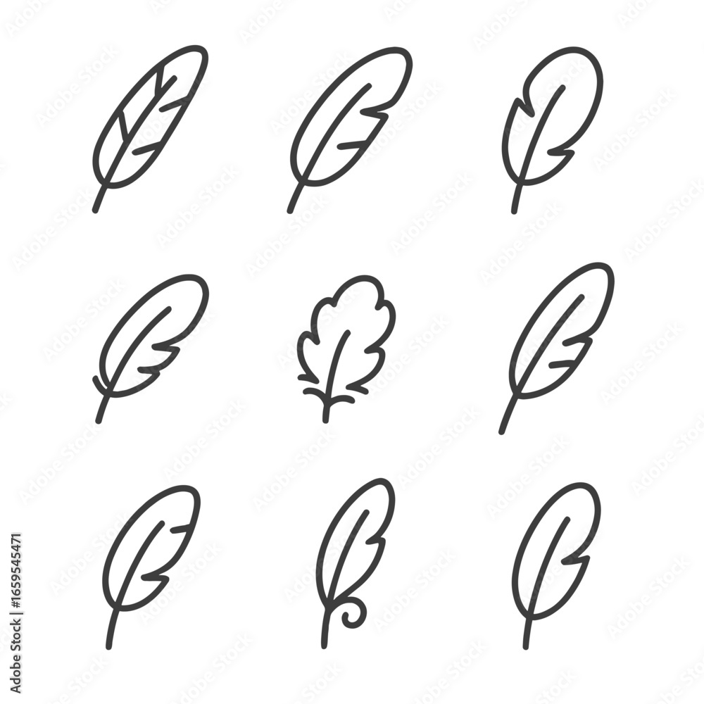 Poster outline feather icon set. outline icon set of bird feather types: primary feather, secondary feather