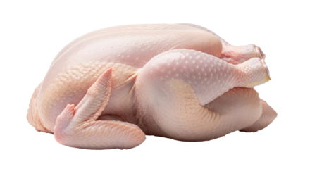 Isolated Raw Chicken