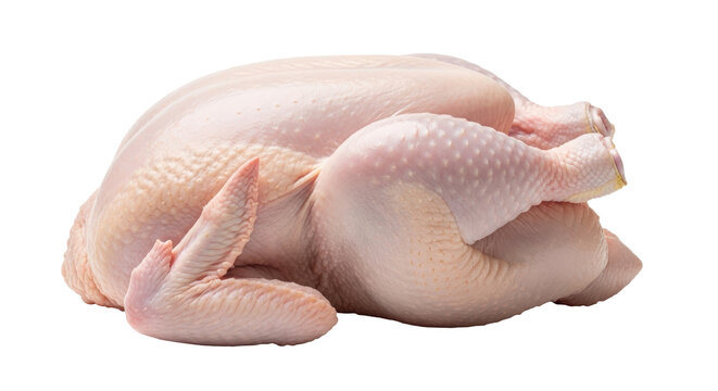 Isolated Raw Chicken