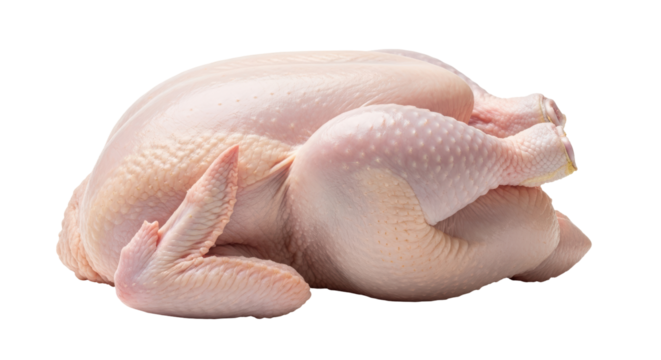 Isolated Raw Chicken