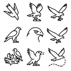 Hawk Hunting Icon Set. Outline icon set of hawk hunting: diving hawk, prey capture, flying with prey, hunting stance, focused eyes