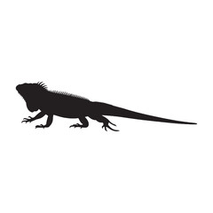 Iguana Silhouette Highlighting Sleek Body Shape – Iguana Vector Template for Professional Graphics – Black Vector of Iguana