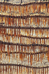 fish drying 