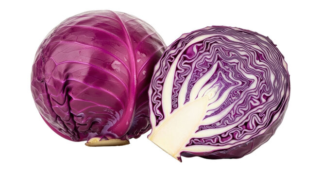 Isolated Red Cabbage