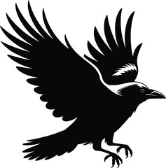 Obraz premium Black bird soaring with spread wings silhouette flying