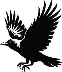 Black bird flying with spread wings crow raven
