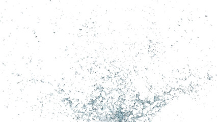 Water splash coronal on a transparent background designed for compositing, overlays, and creative design projects.