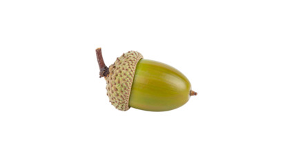 ดีไซน์ที่ยังไม่ได้ตั้งชื่อ - 23