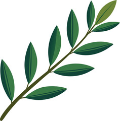 Olive leaf branch