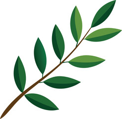 Olive leaf branch