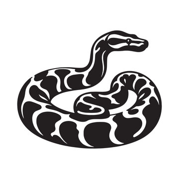 Noble Python Silhouette Highlighting Thick Muscular Body &ndash; Python Vector Template &ndash; Python Illustration &ndash; Silhouette of Python &ndash; Snake Silhouette