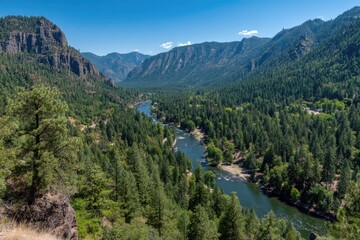 Fototapeta premium River Winding Through Valley Surrounded By Lush Green Forest