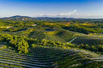Green rural scenery, village overlooking
