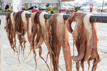 Sun-Dried Octopus Hanging in a Greek Marina