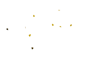 paper and foil confetti in the shape of hearts, gold and silver, isolated on a white background