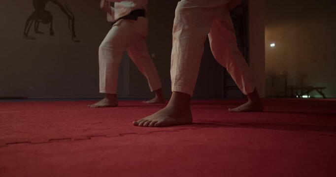 Karate practitioners perform traditional kata movements