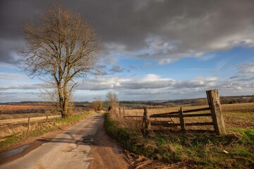 Fototapeta premium Cotswold lane near Winchcombe, Gloucestershire, England
