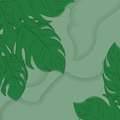 monstera leaf icon illustration Background