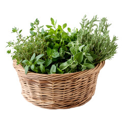 Naklejka premium Harvesting fresh herbs for culinary delights kitchen food photography bright environment close-up view aromatic ingredients