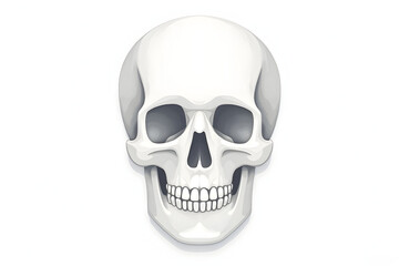 Fototapeta premium Human Skull Illustration Front View Isolated on White