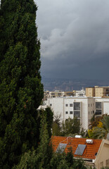 Cypress tree and private house roof with solar panels in front of apartment buildings and stormy...