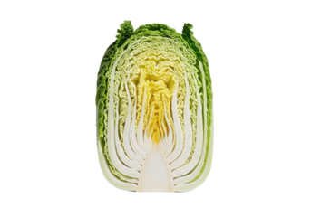 Extreme macro close-up of a freshly cut napa cabbage head, vibrant green leaves and transparent core, translucent layers on a solid transparent. Concept of natural freshness