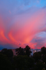 Dramatic pink sunset sky over city buildings and trees