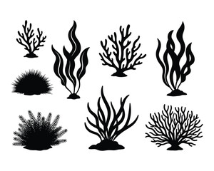 Various Black Seaweed Silhouette Illustrations on White Background for Marine Life and Underwater Ecosystem Concepts Graphic Element Design Vector