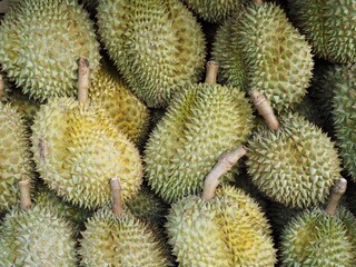 durian fruit in thailand