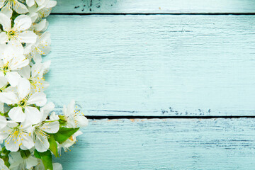 cherry blossom on old blue painted wooden, frame background