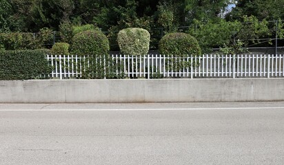 Concrete fence with white metal railing on top. Garden with ornamental plants on behind and street...