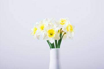 Obraz premium white daffodils at china vase on old weathered wood table