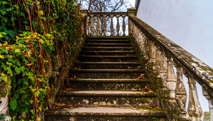Old stone staircase with ivy covered railing leading upwards outdoors