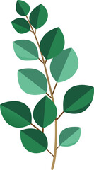Eucalyptus leaves