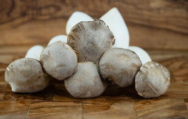 Kräuterseitlinge Pleurotus eryngii ein beliebter Speisepilz