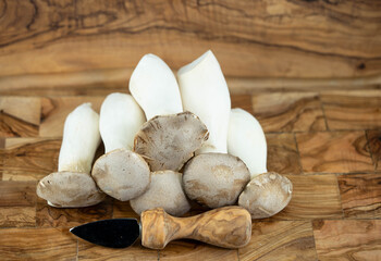 Kräuterseitlinge Pleurotus eryngii ein beliebter Speisepilz