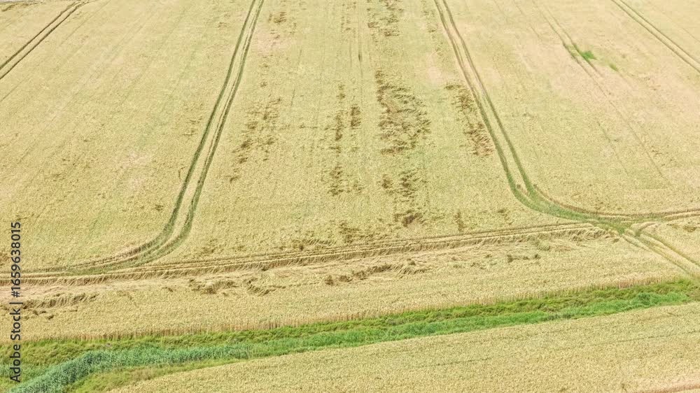 Poster aerial drone view of a green grain field with visible tractor tracks and crop patterns.