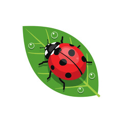 Obraz premium Retro Bright Red Ladybug Green Leaf Clip Art Minimalist Flat Design Nature