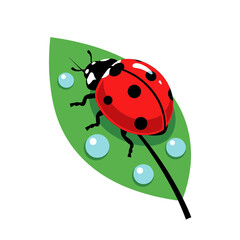 Obraz premium Retro Bright Red Ladybug Green Leaf Clip Art Minimalist Flat Design Garden
