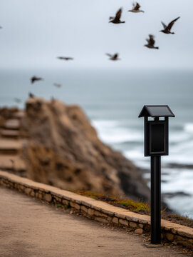 Dreamy Flight Freedom Seagulls Ocean Horizon Natural Pathway Cliff Rocks Tranquil Blue Sky Wild Birds Peaceful Rural Scenic View Travel Adventure Environment Serene Landscape Beauty Summer Evening